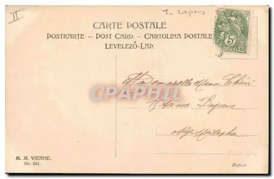 Dois coelhos entre margaridas — Sogliano 1907 — editor M. M. Vienne, n° 261 — Verso