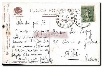 Środku wśród królików — Tuck's Postcard N° 9539 — wydawca Raphael Tuck & Sons — Rewers