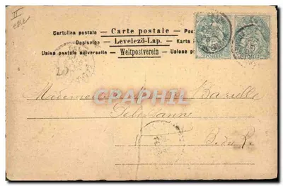 Trois lapins dans un champ — scène de nature — éditeur 'CARTICINA POSTALE' (imprimé en bas à droite du verso) — n° de série 332 visible en haut à gauche du recto — Verso