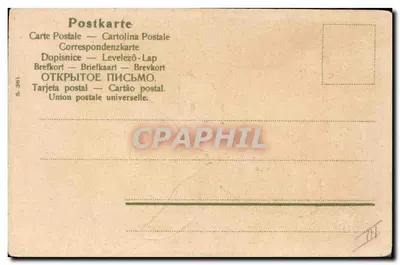 Zając w polu margaretek — Stara pocztówka/Nowoczesna pocztówka nr 361 — Rewers