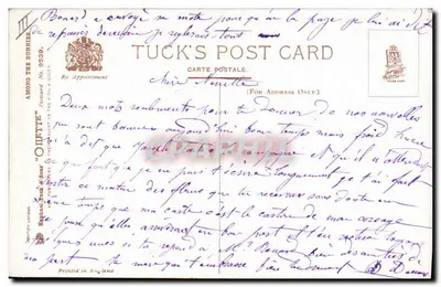 Cane e conigli — scena animale — Tuck's Post Card, n° 9539 — Verso