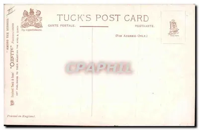 Cabras e pintainho — cena animal — Tuck's Post Card n°3839 — Verso