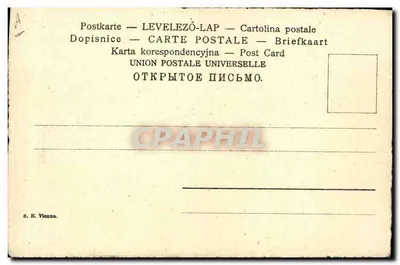 एक महिला का चित्र एक टोपी के साथ — F. Bals द्वारा छापा — प्रकाशक S.B. Vienna — पीछे
