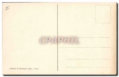 Gazela — na tle pustyni i palm — seria 631, Lehneri & Landrock, Tunis — Rewers