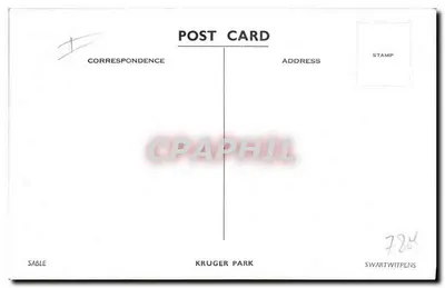 Sable — Park Kruger — CPHAPHIL — Rewers