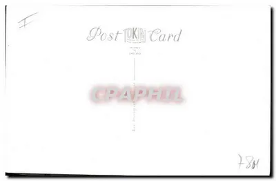 Wildebeest i Zebra — Fotografia Sar-Waa — Post Tokim Card — Rewers