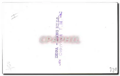 Zebras - Colinas de Ngong — T.M. Hills, n° 780 — Verso