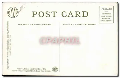 Rinoceronte africano de duas cornas — New York Zoological Park — editor NYZP — Verso