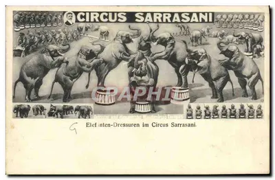 Stara pocztówka Cirque Circus Sarrasani Elephant