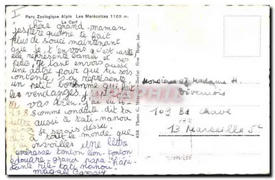 Bilhete postal moderno Parque Zoológico Alpino Les Marecottes o cervo — Verso