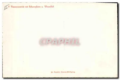 Tasannaweide mit Schwarzhorn u. Weissfuß — M. Rudoll, Davos-Wolfgang — Verso