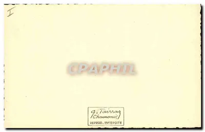Chamois w Alpach — widok z zimnej górskiej szczytowej — g. Tairnag (Chamonix) — Rewers