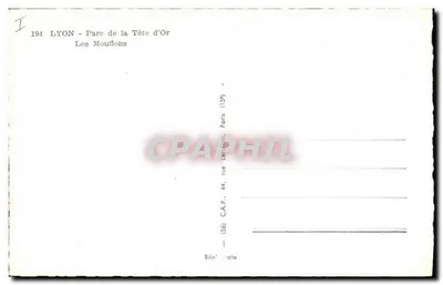 LYON - Park Tête d'Or — Mouflony — C.A.P., 44, ulica Lethière, Paryż — Rewers