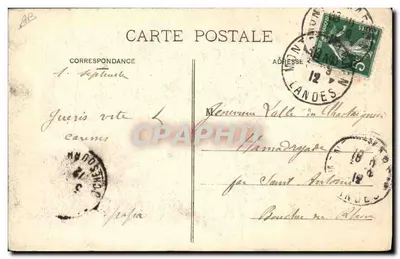 In de Landes — Een Schapenweide — Bureau van Terre-Longon (Gironde) — Achterkant