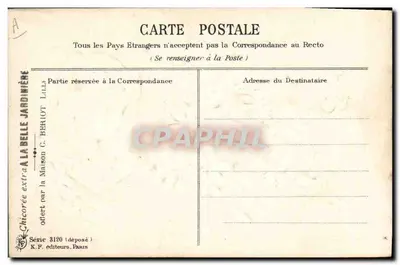 Festa — violetas — Maison C. Beriot, série 3120 — Verso