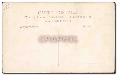 Ovelhas em pastagem — pastor em uma colina — editor desconhecido, n° 2801 — Verso