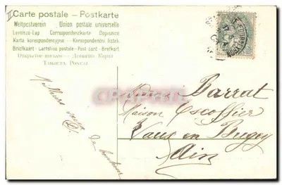 Blue Flowers — Postcard with text 'Sincere Wishes' — no. 58 — Back