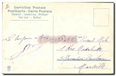 Myosotis — buquê de flores azuis — Cartolina Postal n°123 — Verso