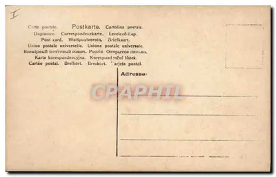 Daims em uma floresta — editor não identificado, número de série não visível — Verso