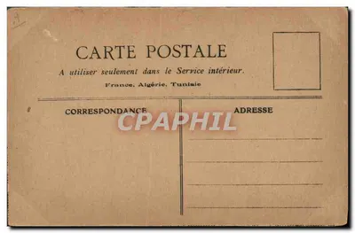 Cani Basset — Studi di Animali — 'Le Mie Cartoline Postali' editore — Verso