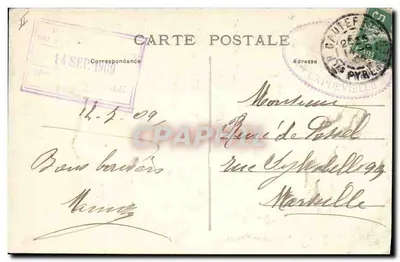 Pirinees hond — 2027 — MT & L — Achterkant
