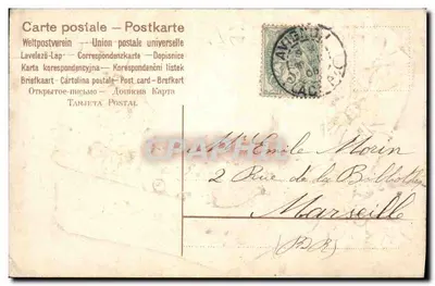 Antieke ansichtkaart Fantasie Bloemen Eik — Achterkant