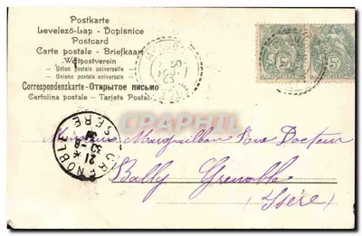 Violets in a basket — postcard — unidentified publisher — Back
