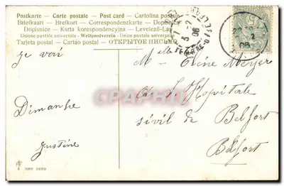 Chwast — Dekoracyjny motyw roślinny — Wydawca PF, seria 5689 — Rewers