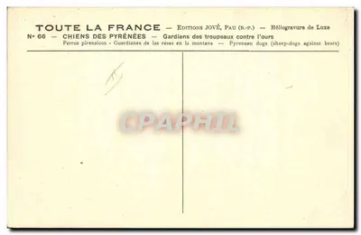 Two Pyrenean Dogs — Editions JOVÉ, Pau (B.-P.) — No. 66 — Back