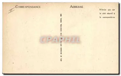 Cães de Montanha — Tipos dos Pirineus — LL — Verso