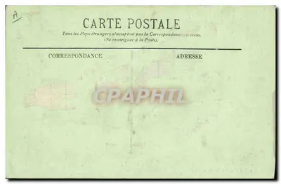 Cão dos Pirineus — LL. — n° 207 — Verso