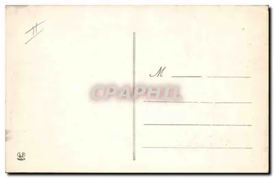 Cães dos Pirineus — Uma interessante família — Fototipia Labouche Frères, Toulouse (2a Série) — Verso