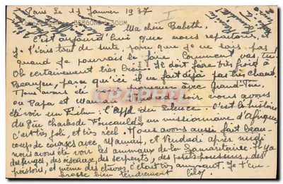 Cão branco — retrato ao ar livre — número de série ilegível — Verso