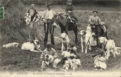 Antika kartpostal Lourdes Bir Dağ Köpeği Yetiştiricisi Köpek TOP