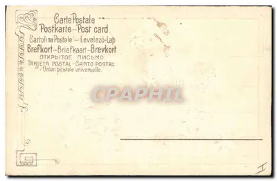 Violets and ivy leaves — Multilingual postcard — Universal Postal Union — Back