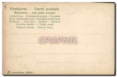 Dzik na brzegu strumienia — krajobraz lasowy — Landschaften Müller.1 — Rewers