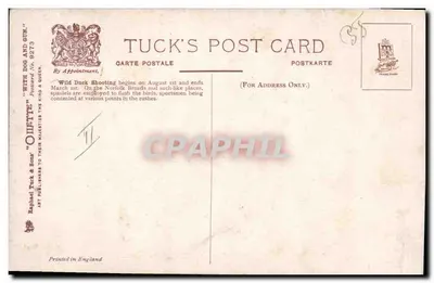 Caça aos patos selvagens — Norfolk Broads — Tuck's Post Card n° 9273 — Verso