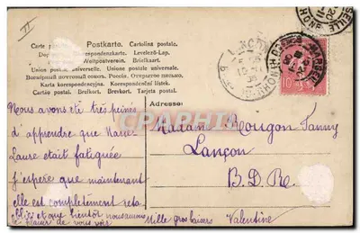 Dziewczyna i pies — studio — 487/8 — Rewers