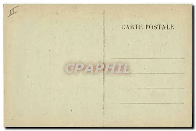 Cani di Montagna — Tipi delle Pirinei 6485 — Editore non visibile — Verso