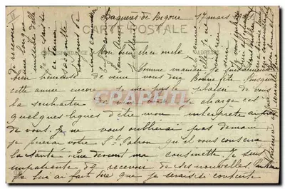 Viscos - Jovem Cão das Pirineus (2ª Série) — editor não identificado, n° 1016 — Verso