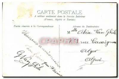 Mata de flores azuis e trevo — Boa e Feliz Ano — editor não visível — Verso
