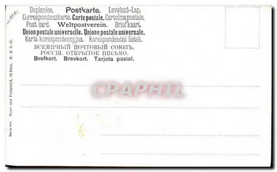 Polowanie na pępków — scena polowania — wydawca K. & B. D., seria 844 — Rewers