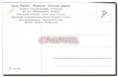 Pies myśliwski — krajobraz wiejski — M. Müller junior, 1905 — Rewers