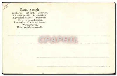 Cinco cachorros de collie — N.º 830 — editor no visible — Reverso