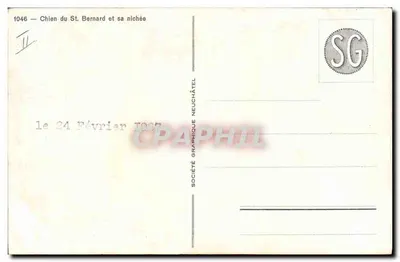 Cão do St. Bernard e sua ninhada — Sociedade Gráfica Neuchâtel, n° 1046 — Verso
