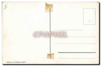 Cane del San Bernardo — Bernhardinerhunde — editore Wehrli A.-G., Kilchberg, Zurigo — n° 8064 — Verso