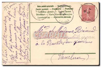 Flowers in a green vase — Don't forget me! Dominique — Postcard — Back
