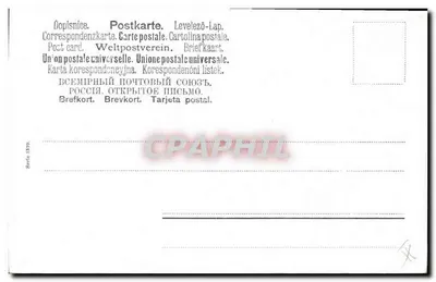Dwa jeleńce w zimowym alpejskim pejzażu — ilustracja Müller (lub Münch) — seria 1879 — Rewers