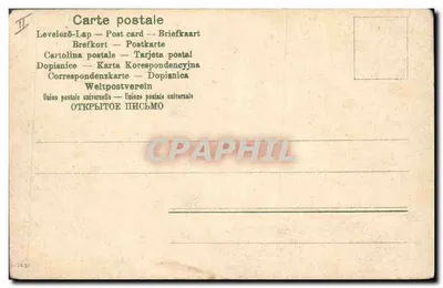 Stara pocztówka: Wyszywka z lisem, psami i psem — Rewers