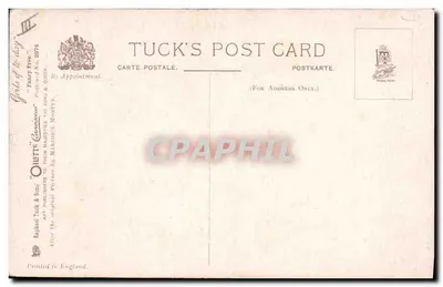 Junge Frau in blauer Robe — Portrait — Tuck's Post Card, n° 2974 — Rückseite